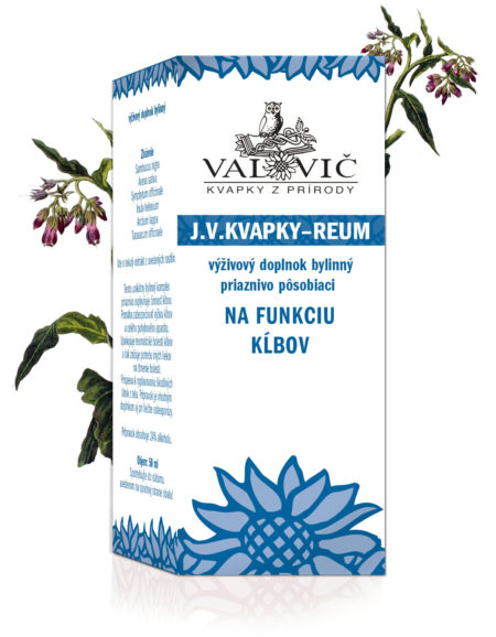 J.V.Kvapky - REUM