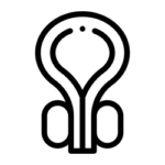 Prostata